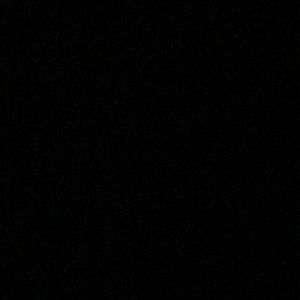 Meet your Posher, Dan